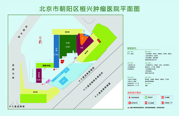 大鸡吧操此视频北京市朝阳区桓兴肿瘤医院平面图